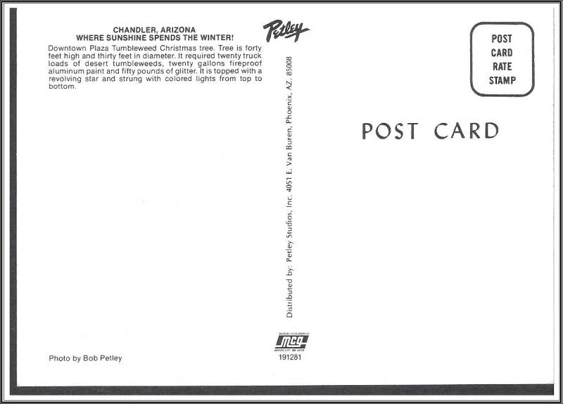 Arizona, Chandler Tumbleweed Christmas Tree Postcard