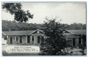 Newport Tennessee Postcard Irish Cut Cabins Miles East Asheville c1940 Vintage