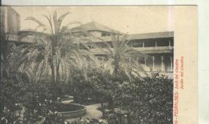 Postal 010558: Jardines del claustro del Monasterio de Pedralbes en Barcelona