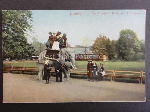 London THE ZOO An Elephant Ride showing Keeper c1905 by E.F.A. Series 521