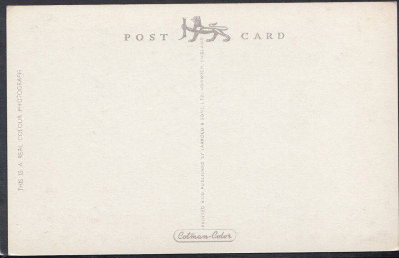 Norfolk Postcard - The Castle, Norwich     RS11383