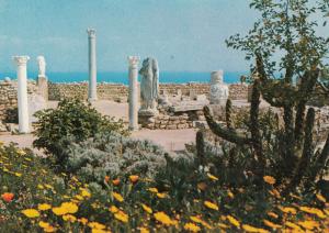 CARTHAGE TUNISIE ANTIQUARIUM