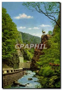 Postcard Old Hirschsprung im Schwarzwald Hollental