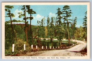 Ferguson Highway, Temagami Near North Bay Ontario, Vintage PECO Postcard