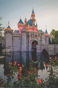 DISNEYLAND CASTLE AND ROSES - 651
