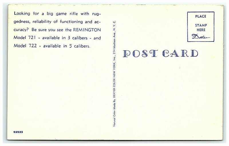 1950s Remington Postcard Model Advertising Big Game Rifles Models 721 & 722  