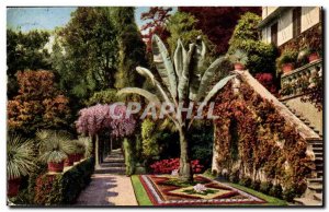 Italy - Italia - Cadenabbia - Giardino della Villa Carlotta Old Postcard