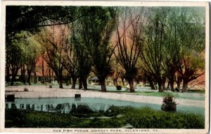 View of the Fish Ponds, Dorney Park, Allentown PA c1918 Vintage Postcard F61