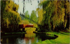 A Section of Lost Lagoon in Stanley Park Vancouver BC Postcard PC289