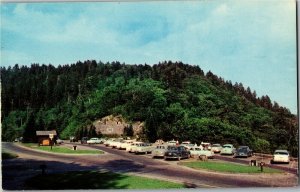 Parking Area Newfound Gap Great Smoky Mountains Nat'l Park Vintage Postcard C10 