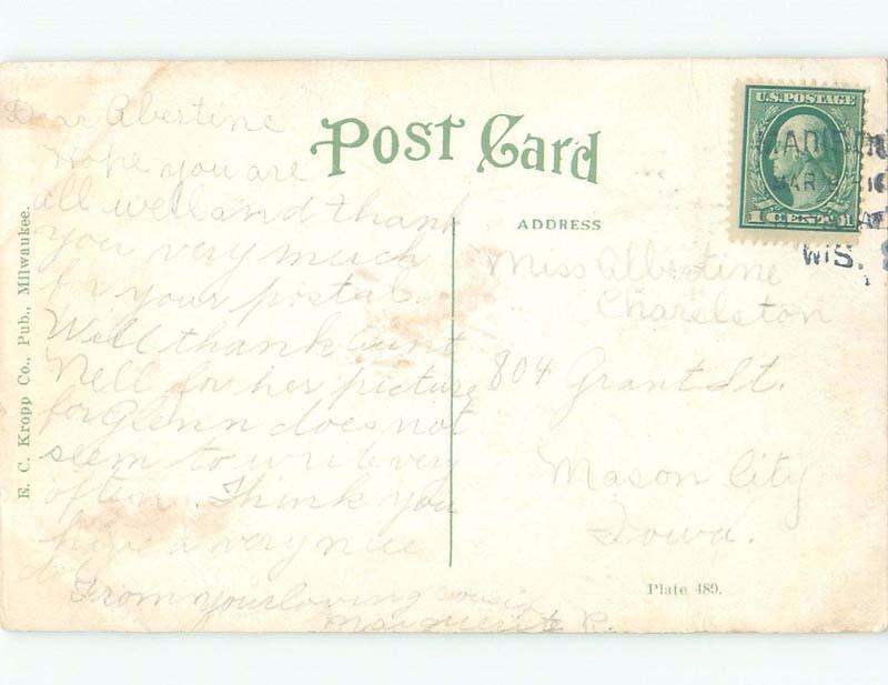 Divided-Back BRIDGE SCENE Madison Wisconsin WI d4980