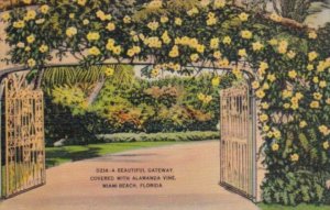 Florida Miami Beach Beautiful Gateway Covered With Alamanda Vine