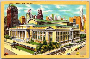 Public Library New York City Building and Grounds Landscapes Postcard