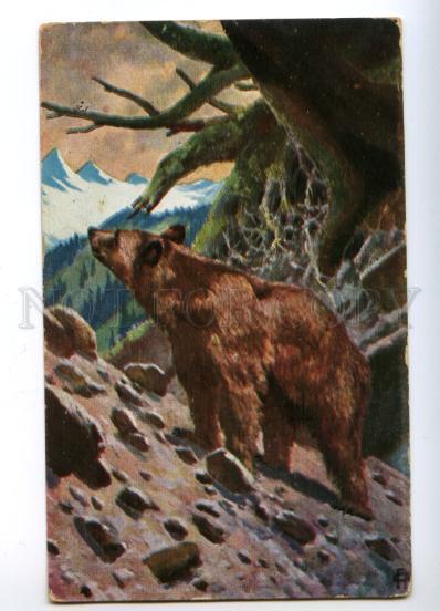 170919 HUNT brown BEAR Vintage colorful BROILI PC