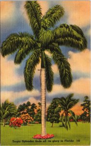 Tropic Splendor Palm Tree Florida Linen Postcard PM Lakeland FL Cancel WOB Note 