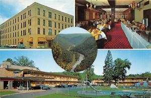 Wellsboro Pennsylvania~Penn-Wells Motor Inn-Mary Wells Dining Room~4 Views~1960s