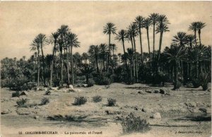 CPA AK Geiser 22 COLOMB-BÉCHAR La palmeraie et l'oued ALGERIE (757431)