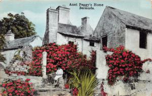 BERMUDA~AUNT PEGGY'S HOME~YANKEE STORE #66 PUBL POSTCARD 1910s