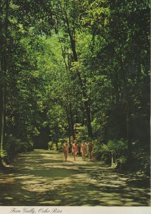 Women Rambling at Fern Gully Oche Rios Jamaica Postcard