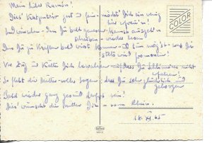 Three kittens, on alert  Modern German photo postcard 1970s