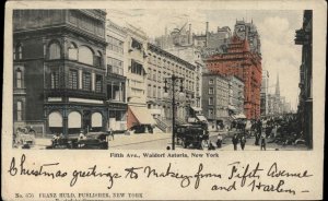 New York City NYC NY Waldorf Astoria Hotel Fifth Avenue c1905 Vintage Postcard