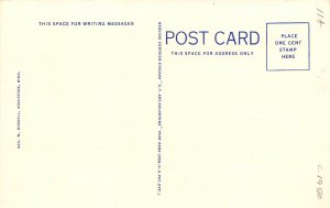 Rochester Minnesota 1940s Postcard Rochester Public Library