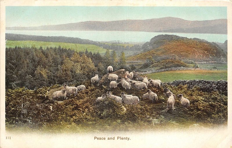 Lot 67 uk peace and plenty sheep animal