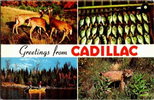 Greetings from Cadillac MI Banner Multi View Wildlife Vintage Postcard A06