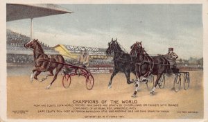J78/ Springfield Massachusetts Postcard c1910 Harness Horse Racing Track 233