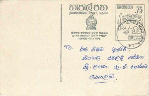 Entier Postal Stationery Postal Sri Lanka Ceylon Lion