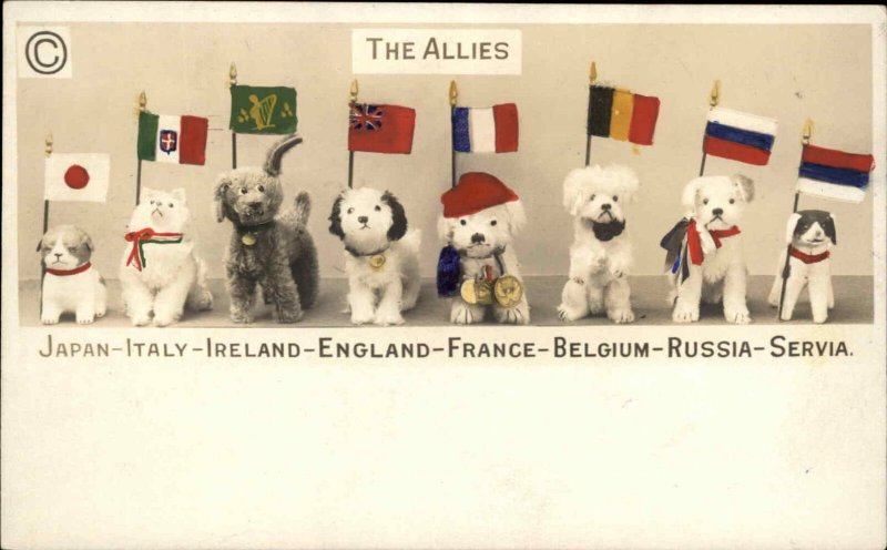 WWI Patriotic Propaganda Allies as Stuffed Dog Toys w/ Flags Tinted RPPC