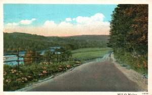 Vintage Postcard 1929 Dirt Road Along River Blooming Flowers Milo Maine ME