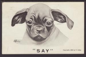 Say,Dog,Colby Postcard