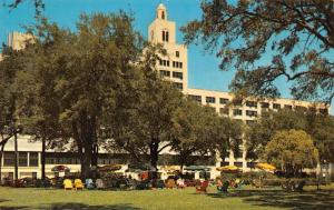 BILOXI, MS Mississippi  EDGEWATER HOTEL & PARK Adirondack Chairs Chrome Postcard