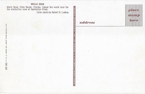 Wells Road Palm Beach Florida Distinctive Australian Pines