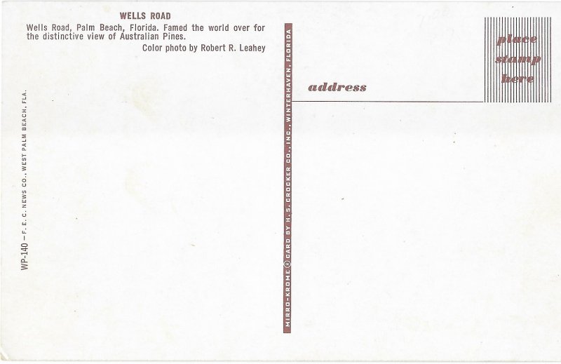 Wells Road Palm Beach Florida Distinctive Australian Pines