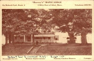Athol Massachusetts MA Harvey's Maple Lodge Vintage Postcard