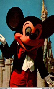 Florida Walt Disney World Mickey Mouse Welcome To Fantasyland