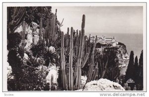 RP, Les Jardins Exotiques Et Un Coin Rocher, Monaco, 1920-1940s