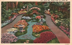 Vintage Postcard 1949 Flowers Plants Jewel Box Forest Part St. Louis Missouri MO