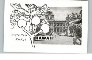 HI Kukui State Tree Postcard