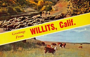 WILLITS CALIFORNIA~GREETINGS FROM-SPLIT IMAGE LARGE LETTER POSTCARD