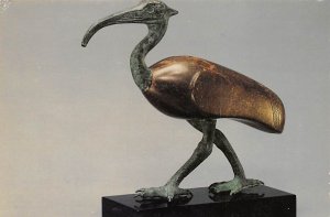 Ibis, Incarnation Of The God Thoth  