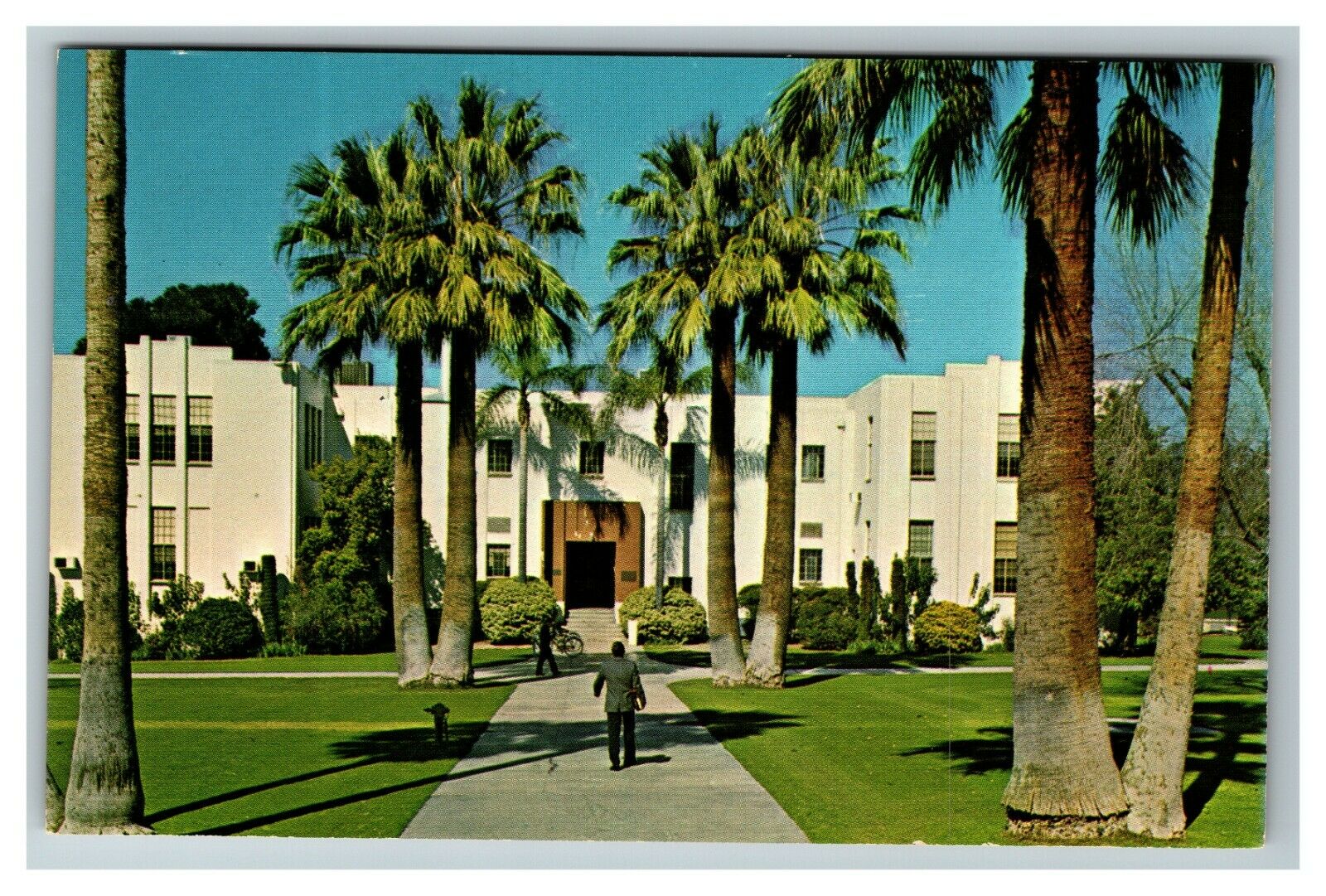 Loma Linda CA University, Anatomy Laboratory c1960 Chrome Postcard M26