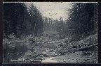 Wissahickon Creek,Fairmont Park,Philadelhpia,PA BIN