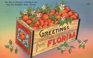 Vintage Postcard Box of Oranges Fragrant Blossom From Sunshine State Florida FL