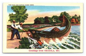 Postcard Greetings From Osceola MO. Missouri Fish Exaggeration Card #3