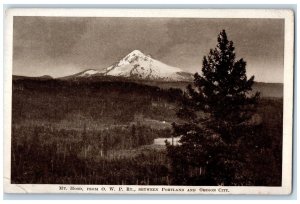 c1910 Mount Hood Trees Forest Portland Oregon City OR Vintage Antique Postcard 