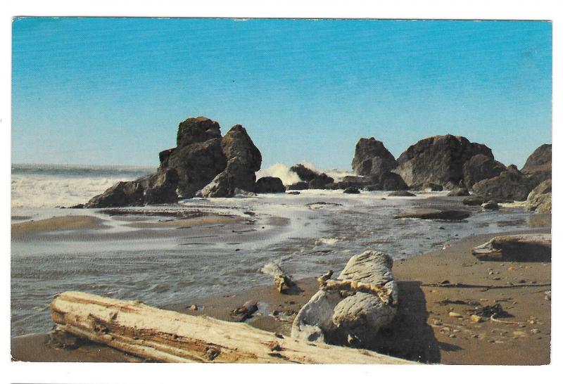 OR Boardman State Park Oregon Coast  North of Brookings Vtg Postcard