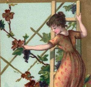 1880s Victorian Trade Card Girl On Ladder Grape Vine F104